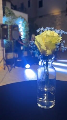 Live band performs at outdoor evening event in Kumbor