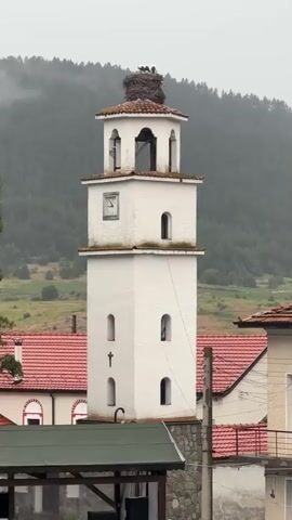 A white bell tower with a clock face and a stork's nest on top stands tall against a misty, tree-covered mountain backdrop. Several buildings with red tiled roofs are visible in the foreground, along with some greenery. The bell tower has arched windows and a cross on its side. The overall scene is peaceful and rural.