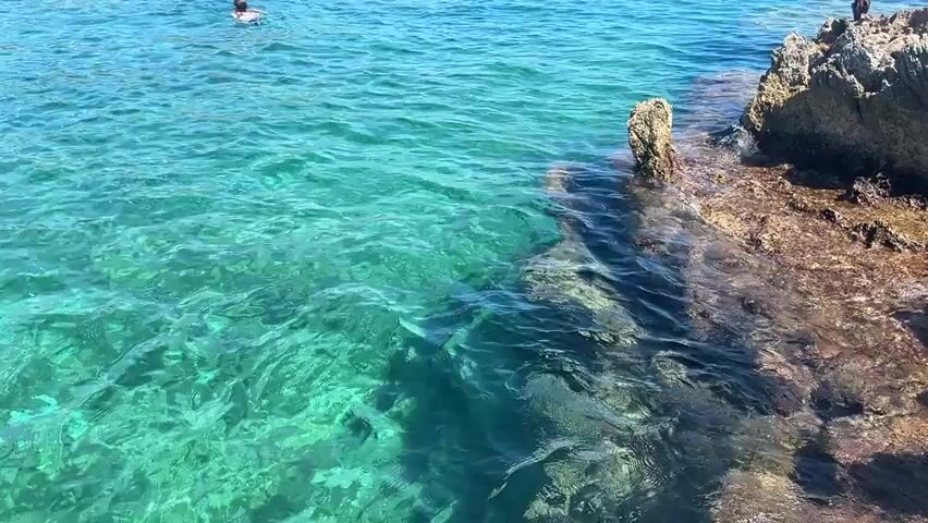 The video pans across a body of clear, turquoise water with sunlight glinting off the surface. On the right side of the frame, rocky shore with seaweed and some weathered rocks is visible. The water appears shallow near the shore, with the rocky bottom visible through the water. A person's feet, with painted toenails, are visible at the very bottom right corner of the frame, resting on a rock at the edge of the water. The camera moves from right to left, showing more of the water and less of the shore. The overall impression is a serene, natural coastal environment.