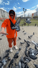 Person in orange outfit feeds large pigeon flock in Chaikovsky park