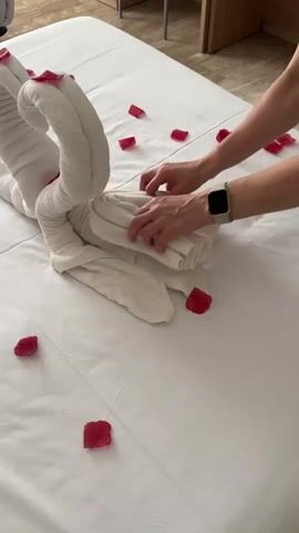 This video captures a close-up view of a person's hands arranging a white towel folded into the shape of a swan on a white bed. Red rose petals are scattered around the swan and on the bed. The person is wearing a watch on their left wrist and their hands are actively tucking and smoothing the folds of the towel swan. The lighting suggests an indoor setting, possibly a hotel room.