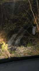 Nighttime waterfall footage captured in Bistritsa, Bulgaria