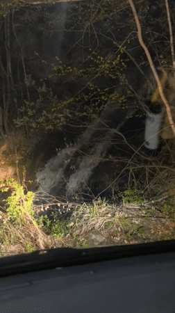 Nighttime waterfall footage captured in Bistritsa, Bulgaria