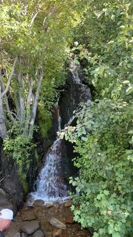 A narrow waterfall cascades down moss-covered rocks and earth amidst lush green foliage. Sunlight filters through the leaves, illuminating the scene. In the foreground, the back of a person wearing a white baseball cap and a dark shirt is visible, facing the waterfall. The water flows into a shallow stream bed with a few stones.