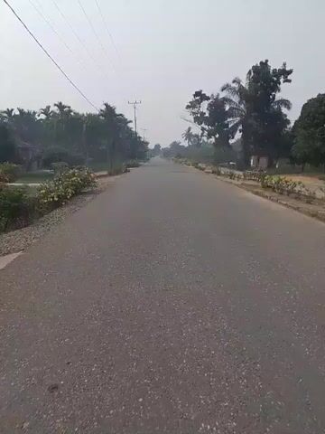 The video shows a view from a vehicle moving along an asphalt road. The road is flanked by vegetation, including palm trees and other leafy plants. Several utility poles with wires are visible along the side of the road. The sky is overcast, suggesting a hazy or cloudy day. The road appears to be in a rural or semi-rural area, with no other vehicles or people immediately visible. The perspective is from the driver's or passenger's seat, looking forward down the road.