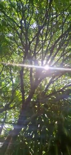 Daily life moments documented in Vallecito, Venezuela afternoon
