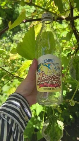 A hand holds up a clear glass bottle of lemonade in front of a leafy green background. The bottle has a white and yellow label with a drawing of lemons and ice cubes and the word "Лимонад" in red stylized lettering. The cap of the bottle is silver. The background appears to be outdoors, with grapevines visible.