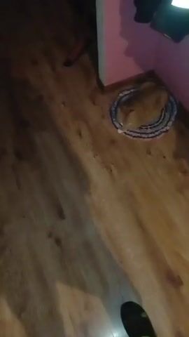 The video shows an orange cat on a round rug in a room with wooden floors and pink walls. The cat is initially lying down on the rug. Then, it stands up and walks towards the camera. The video is shaky and the lighting is dim.