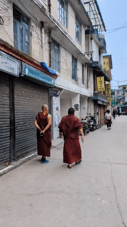 Morning scenes captured in Dharamkot: monks, delivery truck, dining