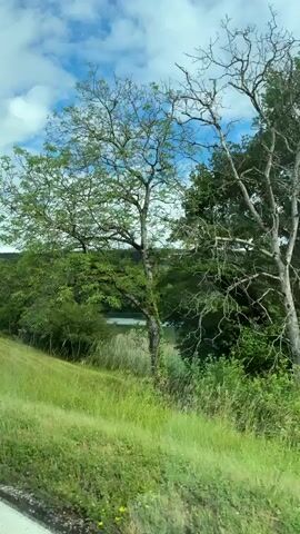 The video captures a scenic view from a moving vehicle, showcasing a vibrant natural landscape. The perspective is looking out of a side window, possibly from a car or bus.

The scene unfolds under a bright blue sky dotted with fluffy white clouds, indicating fair weather during the daytime. In the foreground, there is a gently sloping, lush green grassy area, which transitions into more dense vegetation.

As the vehicle moves, the view reveals rolling hills covered in a variety of green trees and foliage, suggesting a forested or heavily wooded region. A small body of water, possibly a pond or lake, is partially visible nestled among the trees in the distance during the initial moments of the video (0:00-0:03). Further along (0:04-0:07), the foreground opens up to wider green fields, and a white and black striped roadside marker briefly appears on the left side of the frame.

The overall impression is one of a peaceful, verdant countryside drive. No people or visible text are discernible in the video. The consistent green of the landscape, combined with the clear sky, suggests a pleasant journey through a natural environment, consistent with the location context of Zurzach, Switzerland.
