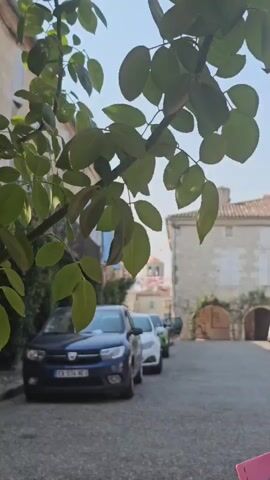 The video shows a street scene with cars parked along the side. There are trees with green leaves in the foreground, partially obscuring the view of the street. Buildings with stone walls and tiled roofs are visible in the background. The sky is clear and blue. The overall impression is a quiet, sunny day in a European town.