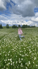Woman walks through Russian dandelion fields on spring morning
