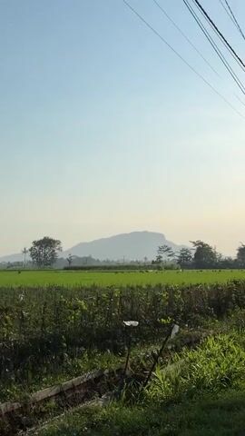 The video begins with a wide shot of a rural landscape. A clear blue sky dominates the upper portion of the frame. Below the sky are rolling hills and mountains, partially obscured by a hazy atmosphere. In the foreground, there are fields of green crops, with a few scattered trees and small structures. The camera then pans to the right, revealing more of the agricultural scenery. The focus shifts to a person wearing a pink shirt and a black helmet with sunglasses. The person's face is partially visible behind the helmet's visor. The reflection in the sunglasses shows palm trees, suggesting a tropical or subtropical environment. The video ends with a close-up of the person's face.