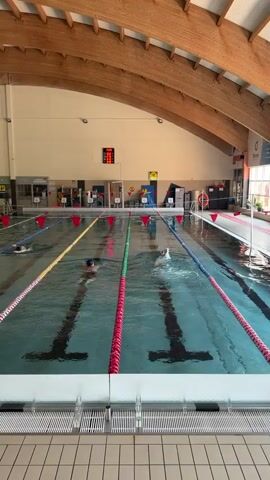 The video shows a swimming pool with multiple lanes. Two swimmers are visible in the foreground, one in lane 2 and another in lane 3. The swimmer in lane 2 is wearing a blue cap and appears to be swimming the breaststroke. The swimmer in lane 3 is wearing a pink cap and is swimming freestyle. In the background, other swimmers can be seen in different lanes, and a digital scoreboard displays times. The pool area is indoors with a wooden roof structure.