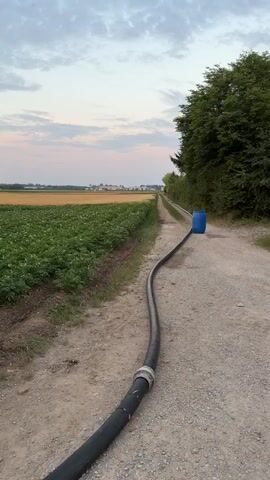 This is a video of a large irrigation system parked on a dirt road next to a field of crops, likely potatoes due to the white flowers visible. The irrigation system consists of a large reel holding a black hose. The hose runs from the reel down the road and into a blue barrel. The scene is set in a rural agricultural area. The sun appears to be setting, casting a warm glow across the sky, which is filled with soft clouds. The overall mood is peaceful and serene. The video is shot from a low angle, emphasizing the size of the irrigation equipment against the expansive landscape. There is no visible text within the video. The time of day is dusk. The weather appears calm and mild.