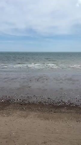 The video opens with a view of a beach under a cloudy sky. The ocean stretches out to the horizon, with gentle waves lapping at the shore. The beach itself is a mixture of sand and pebbles, with a few wooden posts jutting out of the wet sand. As the video progresses, a person walks into the frame near the water's edge, followed by another person a short distance away. Further down the beach, a small red tent is visible, and a person stands near it. In the foreground, a person in a white shirt and shorts is holding a yellow object, possibly a kite or a bag, while another person appears to be digging in the sand. The tide seems to be out, revealing a wide expanse of wet sand and exposing the wooden posts as a kind of breakwater. The scene suggests a typical day at the beach with various activities taking place.
