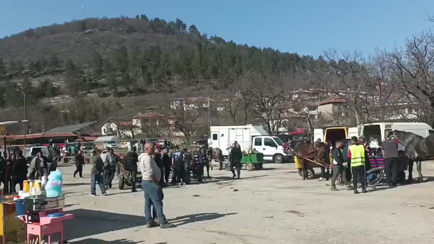 The video depicts a bustling scene at what appears to be an outdoor market or fair. Many people are milling about, predominantly men, some engaged in conversation. Several horses, some hitched to carts or carriages, are present, and people are interacting with them. Various vehicles, including white vans and a small green cart, are also visible. A candy stand is located near the left edge of the frame. The background features a hillside covered in trees and a few houses scattered amongst them. The weather is sunny, with a clear blue sky overhead. The ground is dirt or gravel.