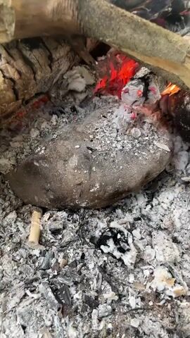 A close-up shot focuses on a potato buried in the ashes of a campfire. Logs, some still smoldering with red embers, surround the potato. A wooden stick, likely used to poke the potato, rests across it and the fire. The scene appears to be outdoors, with sand and some green grass visible in the background. The lighting is natural, suggesting daylight. The camera angle is slightly angled downwards, giving a clear view of the potato and the surrounding fire. The overall impression is one of simple outdoor cooking or survival.