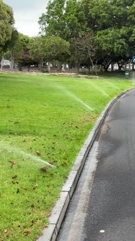 The video shows a lawn being watered by sprinklers. The sprinklers are spraying water in a fan-like pattern across the green grass. There are a few fallen leaves scattered on the grass. A paved road with a concrete curb runs along the right side of the lawn. In the background, there are trees with green foliage and a cloudy sky. The scene appears to be a park or a well-maintained outdoor area.
