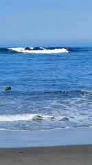 Woman walks barefoot on Canggu beach in athletic wear