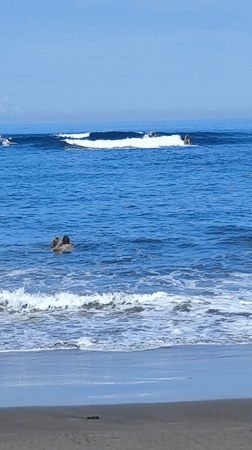 Woman walks barefoot on Canggu beach in athletic wear