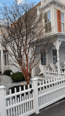 Witness documents quiet Provincetown neighborhood streetscape in evening hours