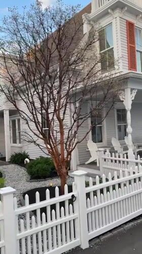 Witness documents quiet Provincetown neighborhood streetscape in evening hours