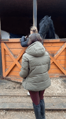 Women visit horses at Moscow stable facility