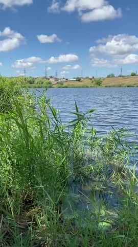 A wide shot shows a calm lake under a partly cloudy blue sky. Tall green grass and reeds grow along the shore in the foreground. Two fishing rods are propped up on the bank, their lines cast into the water. In the distance, rolling hills with sparse vegetation and a few buildings are visible under the bright sky. The scene conveys a sense of peaceful outdoor activity.