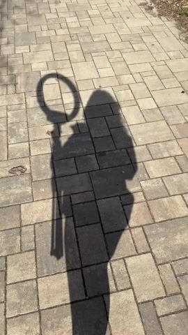 The video shows the shadow of a person standing on a brick pathway. The person is holding a ring light on a stand. The shadow indicates the person is wearing pants and has long hair.  The brick pathway is made of rectangular, gray bricks arranged in a grid pattern.  There are leaves or small debris scattered on the pathway. The lighting suggests a sunny day.