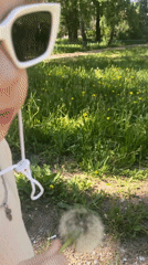 Morning outdoor moments: child, beetles, bird captured in brief timespan