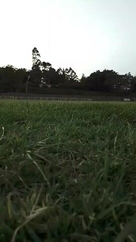 The video shows a grassy field, seemingly a sports field, with a running track visible in the background. Several figures are also visible walking on the track in the background. Behind the track, there is a line of trees against a hazy sky. The camera is positioned close to the ground, focusing on the blades of grass in the foreground.