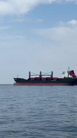 The video shows a cargo ship on the water. The ship is large and appears to be a bulk carrier, with multiple cranes visible on its deck. The hull of the ship is black and red, and the superstructure is white with red accents. The water is calm and blue, and the sky is partly cloudy. The ship is moving slowly across the frame from left to right. There are no people visible in the video. The overall impression is one of a peaceful maritime scene.