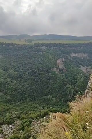 The video shows a panoramic view of a vast, deep canyon covered in dense green foliage. The canyon walls are steep and rocky, with patches of exposed earth. In the distance, rolling hills with sparse vegetation are visible under a cloudy sky. The foreground features tall, dry grass and some rocks. The overall impression is one of a natural, untamed landscape.