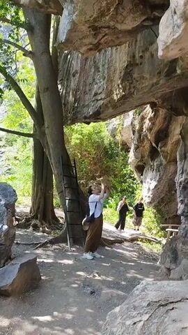 The video shows a natural scene with rocky formations. In the foreground, a woman stands, looking up and reaching towards the rock face. Behind her, two other individuals are visible walking. The environment appears to be outdoors, with trees and lush greenery surrounding the rocky area. The camera pans upwards, revealing more of the textured rock surfaces, some of which have weathered, hole-like indentations. The lighting suggests it is daytime, with sunlight filtering through the foliage.