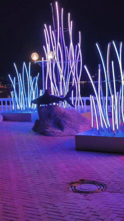 Gelendzhik's illuminated seafront plaza at night