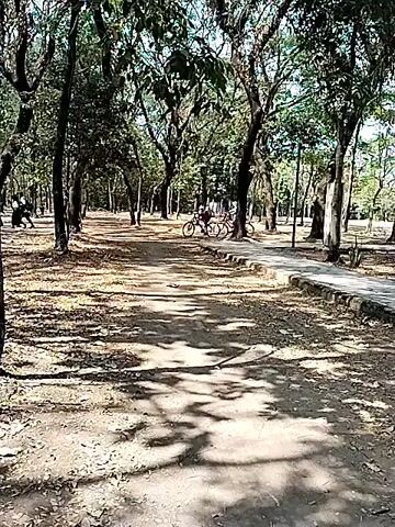 The video shows a park or wooded area with a dirt path. Several people are visible walking and riding bicycles. The ground is covered with fallen leaves. In the first few seconds, a person is seen riding a bicycle on a path. Later, a group of people are seen walking through the trees. The overall scene depicts a casual outdoor environment.