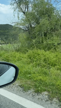 Scenic drive captured on video near Jinzifovo, Bulgaria