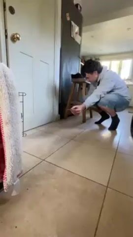 A young man is squatting on a beige-tiled floor, offering a small brown stick to a small, black dog. The man is wearing a light gray hoodie, blue denim shorts, and black socks, and has dark hair. The dog has a gold-colored collar with spikes. Behind the man is a dark-colored refrigerator and a wooden stool. To the left of the man is a white door and a drying rack with a white and red towel. The room is a kitchen, with a window and other appliances visible in the background.