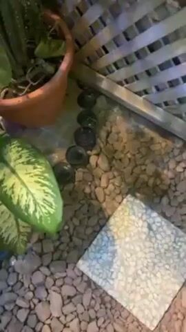 The camera pans along a garden path lined with plants, gray pebbles, and a row of glass bottle bottoms. The ground is also decorated with square tile pieces.