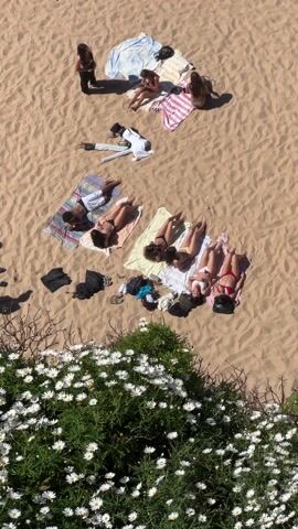 From an elevated viewpoint, the video shows a group of people sunbathing on a sandy beach. The group consists of at least eight individuals. Seven of them are lying on towels in bathing suits or swim attire, with their bodies oriented toward the sun. One person is standing nearby. There are clothes and personal belongings scattered near the towels. In the foreground, a dense patch of white daisy-like flowers adds a touch of natural beauty. The overall scene evokes a sunny, leisurely day at the beach.