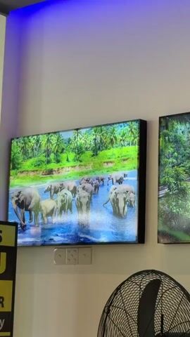 This is a vertical, eye-level, medium shot video of framed nature scene prints mounted on a white wall. The prints are illuminated from behind and are positioned side-by-side. The first print on the left depicts a herd of elephants walking in a shallow body of water, surrounded by lush green foliage and palm trees. The second print in the center displays a train traveling across an arched stone bridge amidst dense, green jungle foliage. The third print on the right shows a close-up of a leopard resting on a rock, with green foliage in the background. In the foreground, the upper portion of a black oscillating fan is visible. A blue LED light is casting a glow on the top edge of the wall. There are two white electrical outlets visible below the first print. The overall lighting is somewhat dim, with the prints being the brightest illuminated elements.