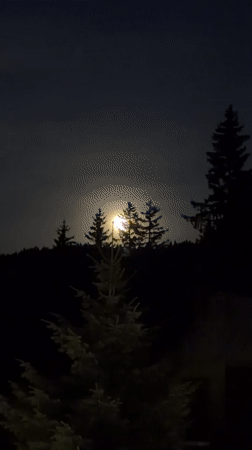 Evening lakeside reflections documented in Pitomine, Montenegro