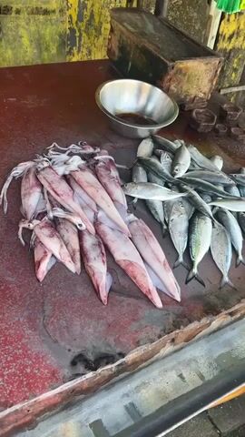 A close-up, high-angle shot displays a market stall laden with fresh seafood. In the foreground, a pile of squid lies on a red surface, their tentacles splayed. To their right, a collection of small, silver fish is arranged. Behind the seafood, a metal bowl holds a dark liquid, and to its right, several dark, rectangular objects are stacked. A weathered wooden box sits further back. The background shows a textured wall with yellow and green paint. The surface of the stall appears wet and slightly stained. The footage is handheld, with slight movements.