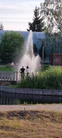 A man and a woman stand near a fountain in a park. The fountain sprays water high into the air. There are trees and grass in the background, as well as a pond with a stone border in the foreground. In the distance, two people sit on a bench and a person on a scooter rides by.