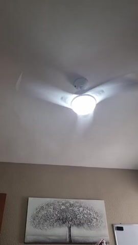 The video shows a white ceiling fan with an integrated light, spinning rapidly. The fan blades are blurred due to their speed. Below the fan, a framed artwork of a tree with a textured, silvery canopy hangs on a taupe-colored wall. The lighting in the room appears to be coming from the fan's light fixture, casting a bright, diffused glow. The overall environment suggests an indoor setting, possibly a bedroom or living area. There are no people visible in the frame.