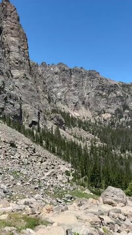 This media file captures a sweeping panoramic view of a mountainous, forested landscape under a clear blue sky. The scene is dominated by rugged, grey, rocky peaks that rise sharply on the left side of the frame, giving way to a densely forested slope on the right. Numerous evergreen trees, primarily pine and fir, cover the mountainside, creating a rich green texture.

In the foreground, the terrain is characterized by a rocky, uneven surface scattered with large boulders and smaller stones. Patches of green grass and low-lying vegetation are visible amongst the rocks, indicating a natural, undeveloped environment. The overall impression is one of a wild, remote, and majestic natural setting.

The activity taking place is the viewing of this expansive landscape, suggesting a moment of appreciation for nature's grandeur. There are no people or man-made objects prominently visible in the foreground or mid-ground, emphasizing the untouched beauty of the location.

Notable details include the bright, sunny weather, suggested by the clear, cloudless blue sky and the strong contrast of light and shadow on the mountains. The time of day appears to be midday or early afternoon, given the intensity of the sunlight. The location cues, such as the rocky terrain, coniferous forest, and dramatic mountain peaks, are characteristic of alpine or subalpine environments. The absence of any visible text further reinforces the focus on the natural scene. The overall emotion conveyed is one of awe and tranquility.