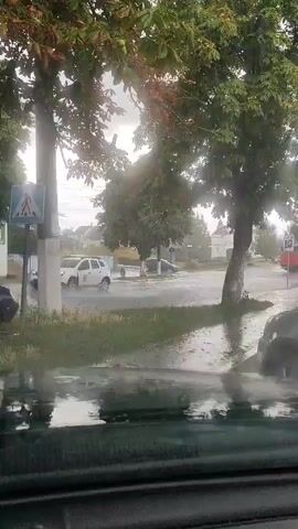 The video shows a view from inside a vehicle looking out through a wet windshield at a street scene during a rainstorm. The windshield wipers are active, moving water and debris across the glass. Outside, there are trees with green and brown leaves, a sidewalk, a road, and several vehicles. One vehicle is red, and at least two others are white or silver. A pedestrian crossing sign is visible on a pole. The sky appears overcast. The overall impression is of a rainy, possibly windy day, with limited visibility due to the weather and the wet windshield.