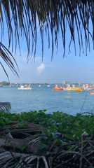 Colorful fishing boats spotted in Weligama harbor, Sri Lanka