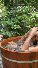 Outdoor wellness retreat in Da Nang with herbal baths and ritual.